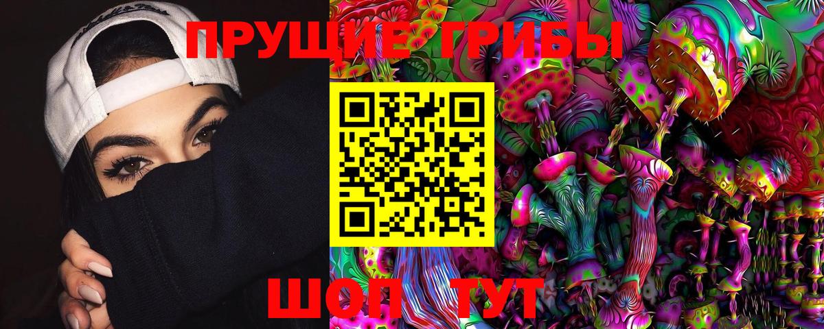 Майский  Галлюциногенные грибы Psilocybine cubensis  хочу наркоту  Вход с VPN 