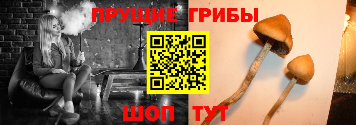 Галлюциногенные грибы прущие грибы Майский